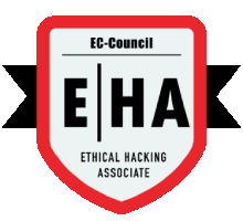 Ethical Hacking Training in Delhi