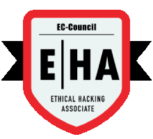 Ethical Hacking