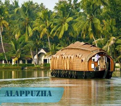  courses in Alappuzha