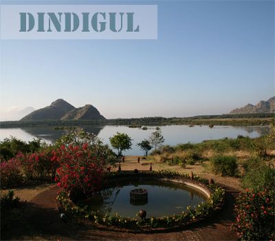  courses in Dindigul