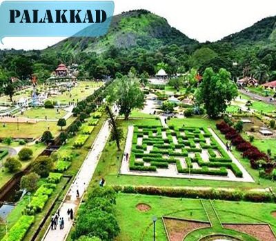  courses in Palakkad