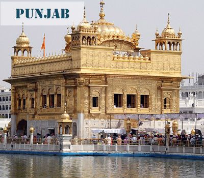 courses in Punjab